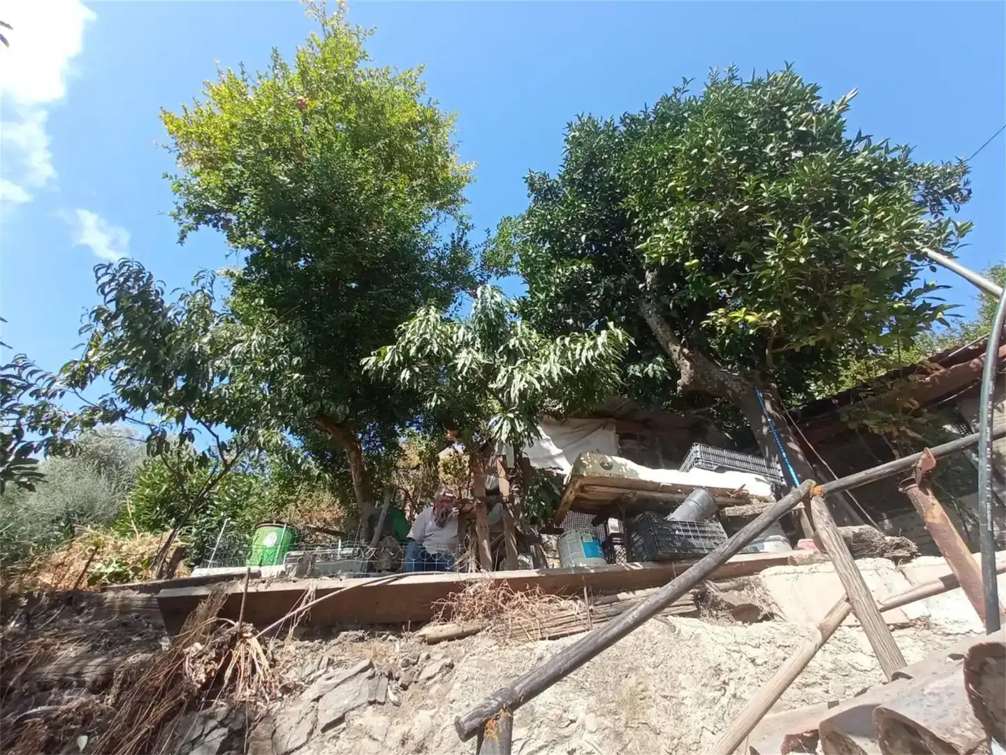 Finca rústica en venda en Genalguacil, Málaga