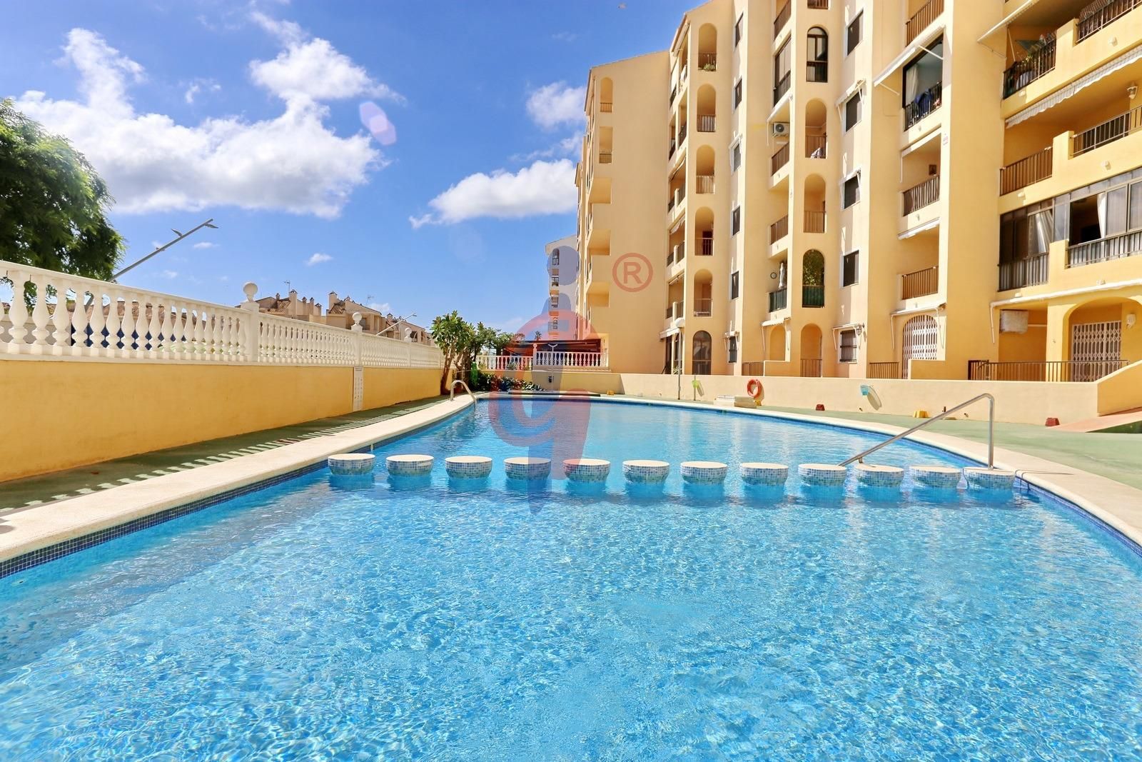 Swimming pool of Apartment for sale in Guardamar del Segura  with Terrace, Storage room and Community pool