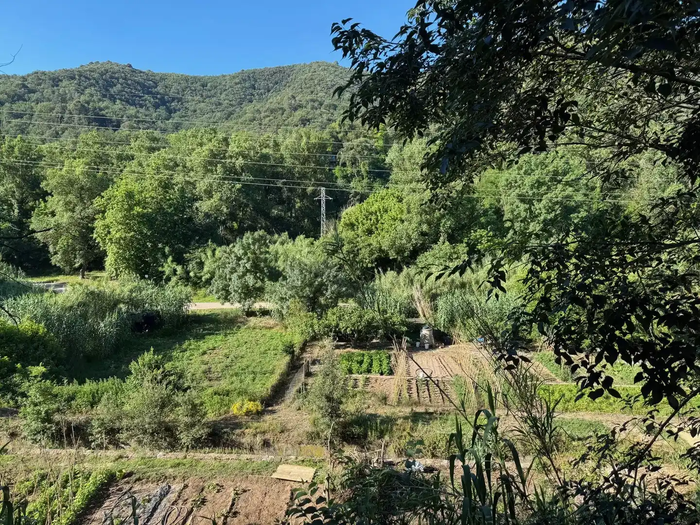 Terreno residencial en venta en Besalú, imagen 7
