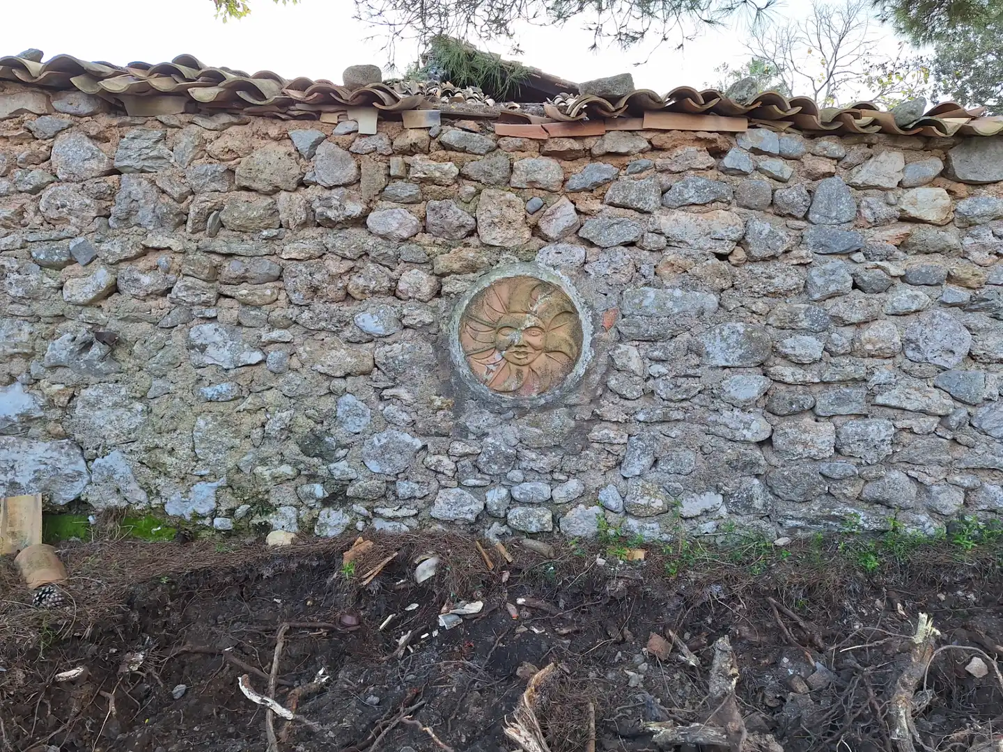 Terreny rústic en venda a Artà Poble, imagen 20