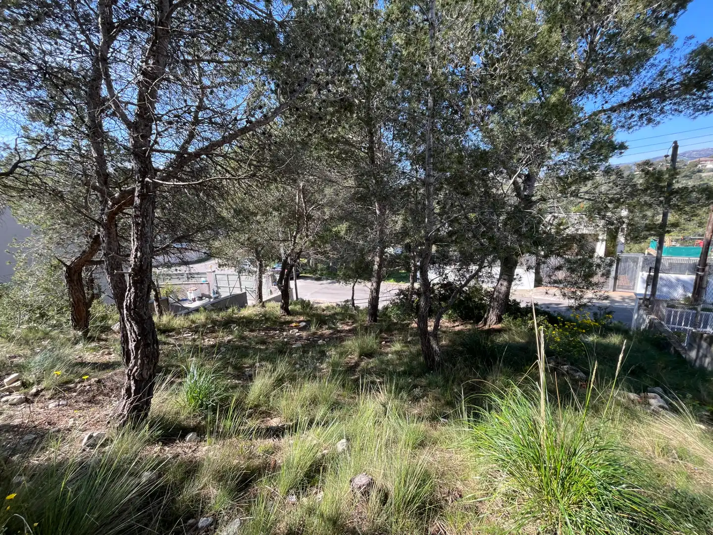 Terreno residencial en venta en Passeig Pins 4, imagen 2