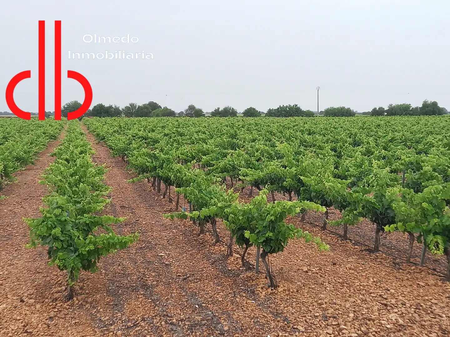 Rustikales Grundstück zum Verkauf in Pedro Muñoz, imagen 7