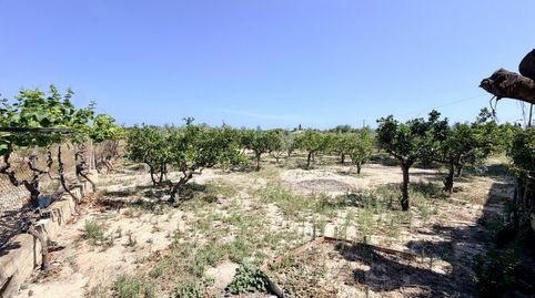 Foto 3 de Finca rústica en venta en La Marina, Elche / Elx