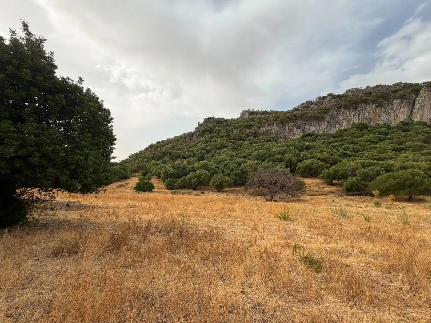 Rural land for sale in Morón de la Frontera, imagen 13