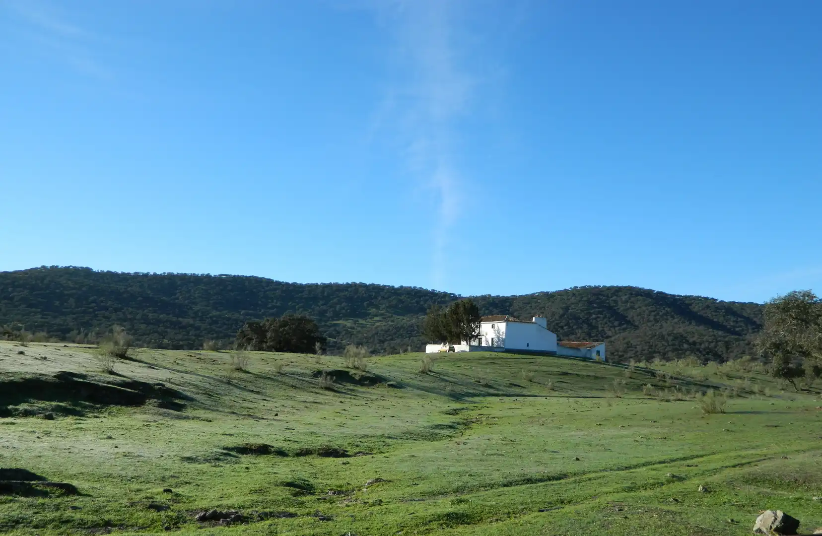 Rural land for sale in La Hispanidad - Verdeluz, imagen 16