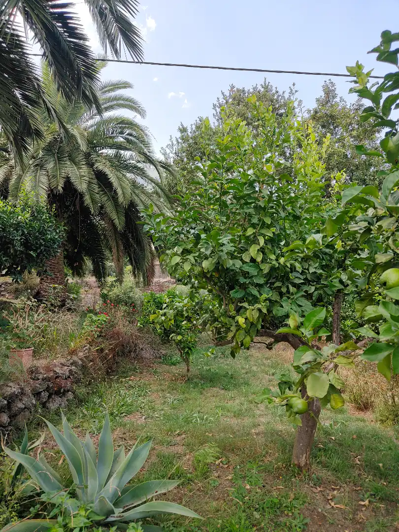 Maison rustique avec piscine à vendre à Carretera las Llanadas, imagen 45