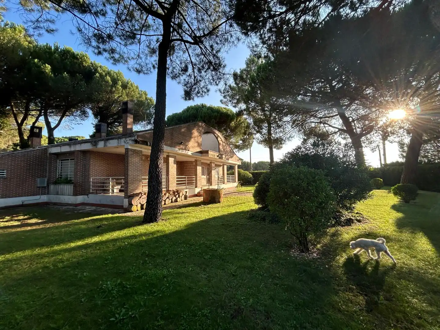 Chalet con piscina en venta en Tudela de Duero, imagen 3