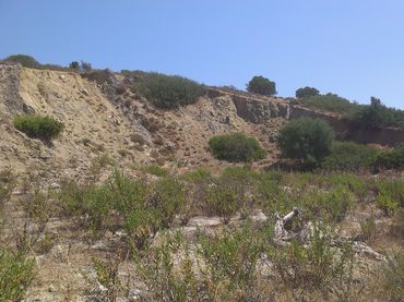 Terreno rustico in vendita a Casco Antiguo