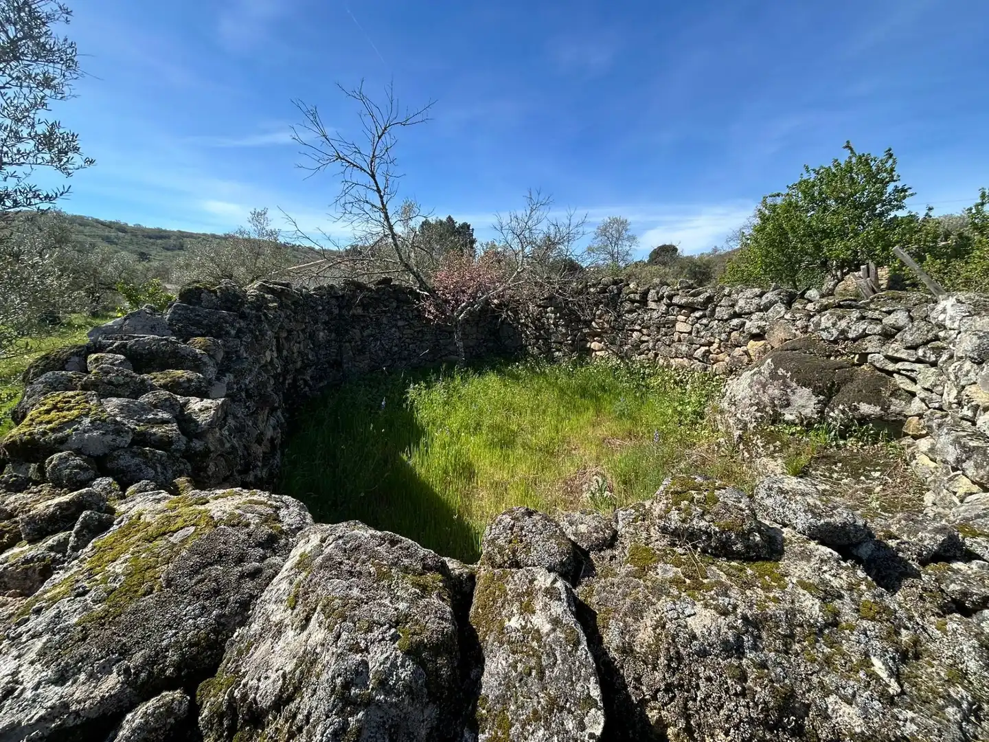 Terreni e lotti in vendita a Hoyos, imagen 6