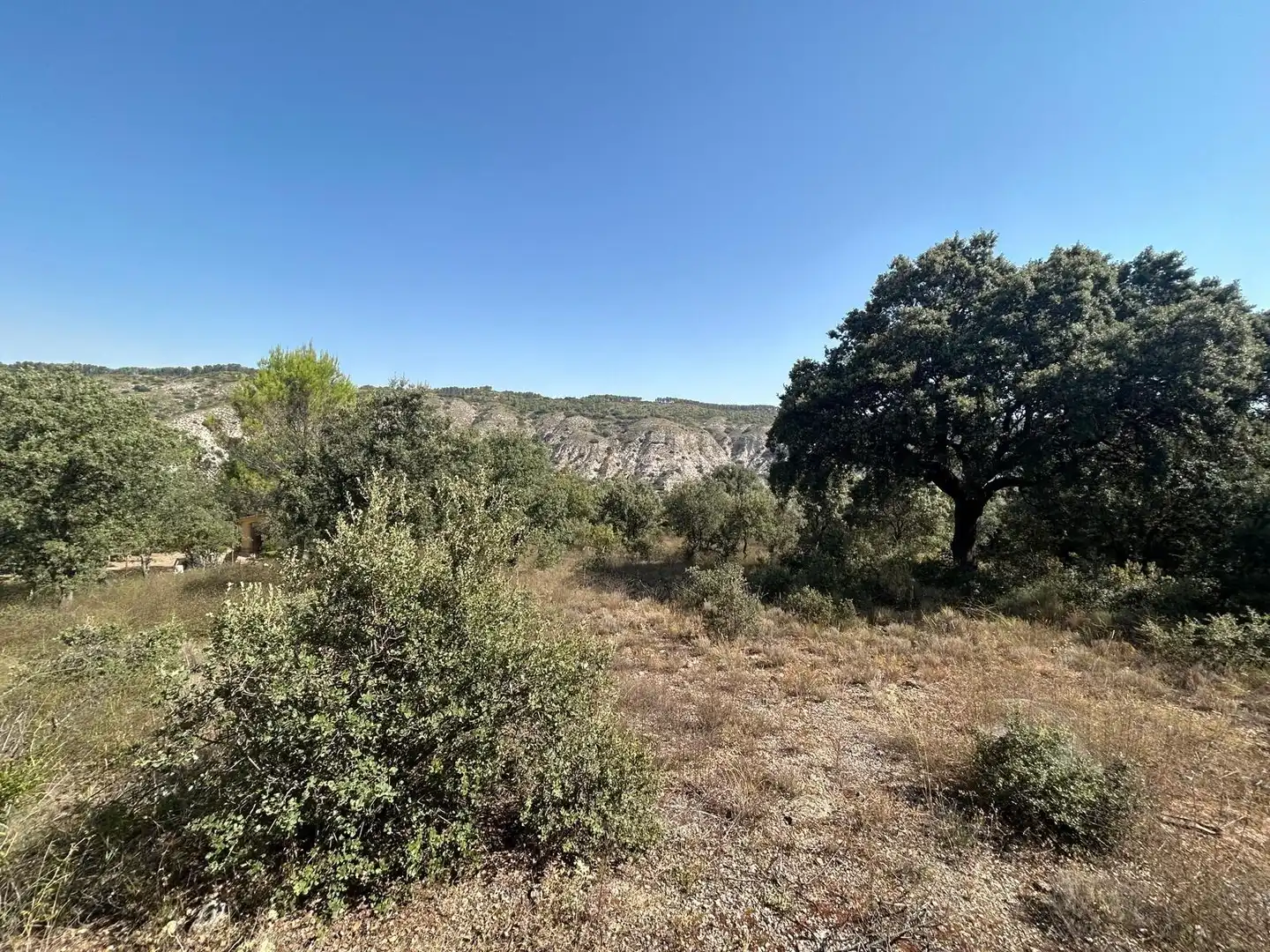 Terrenos y solares en venta en Hontoba, imagen 8