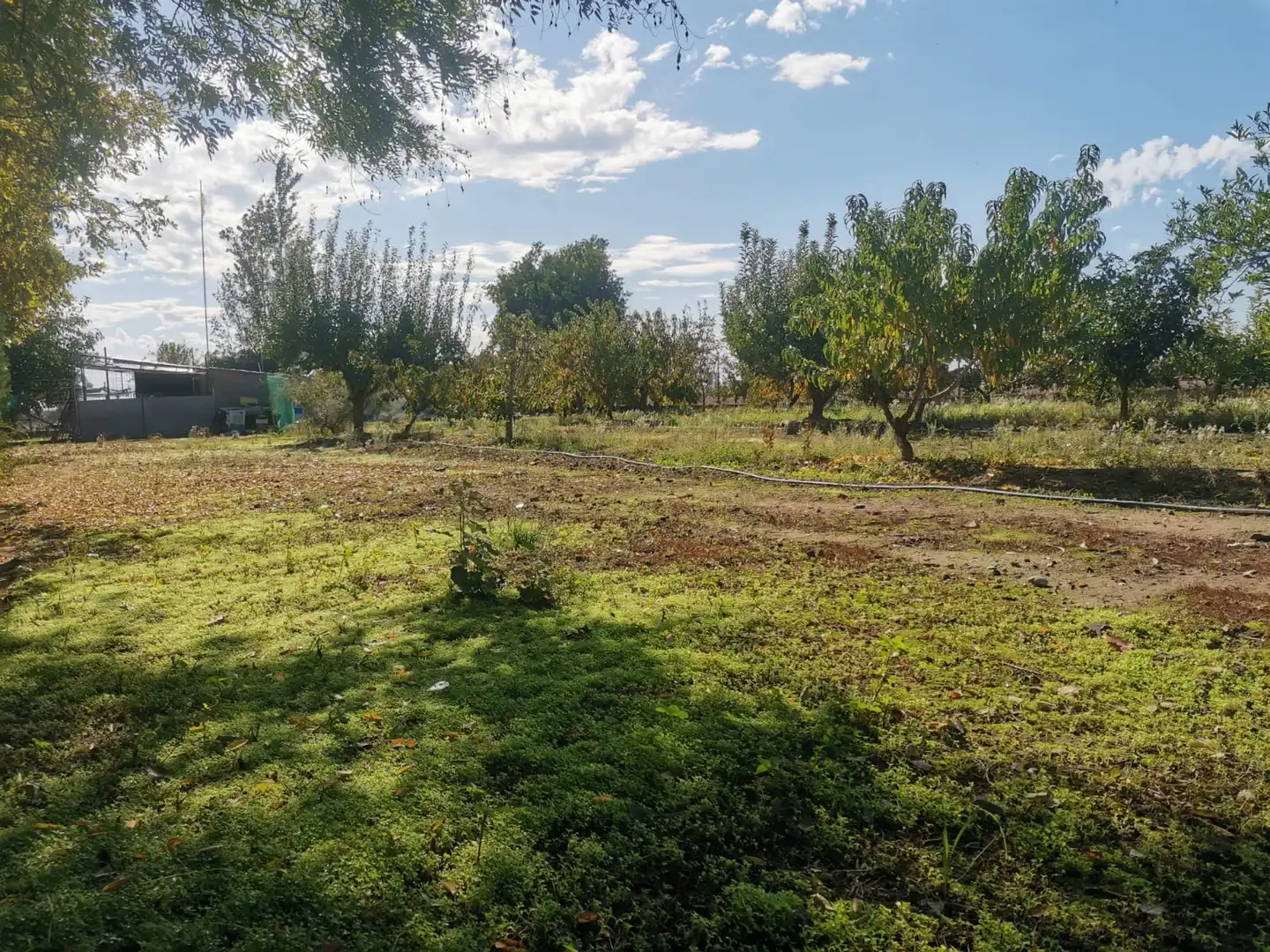 Terreni e lotti in vendita a Poblado Villanueva de la Serena 48