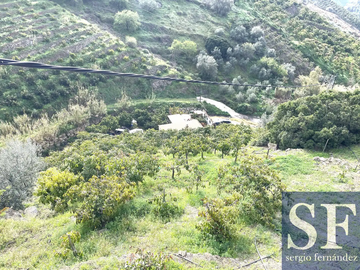 Exterior view of Houses for sale in Sayalonga
