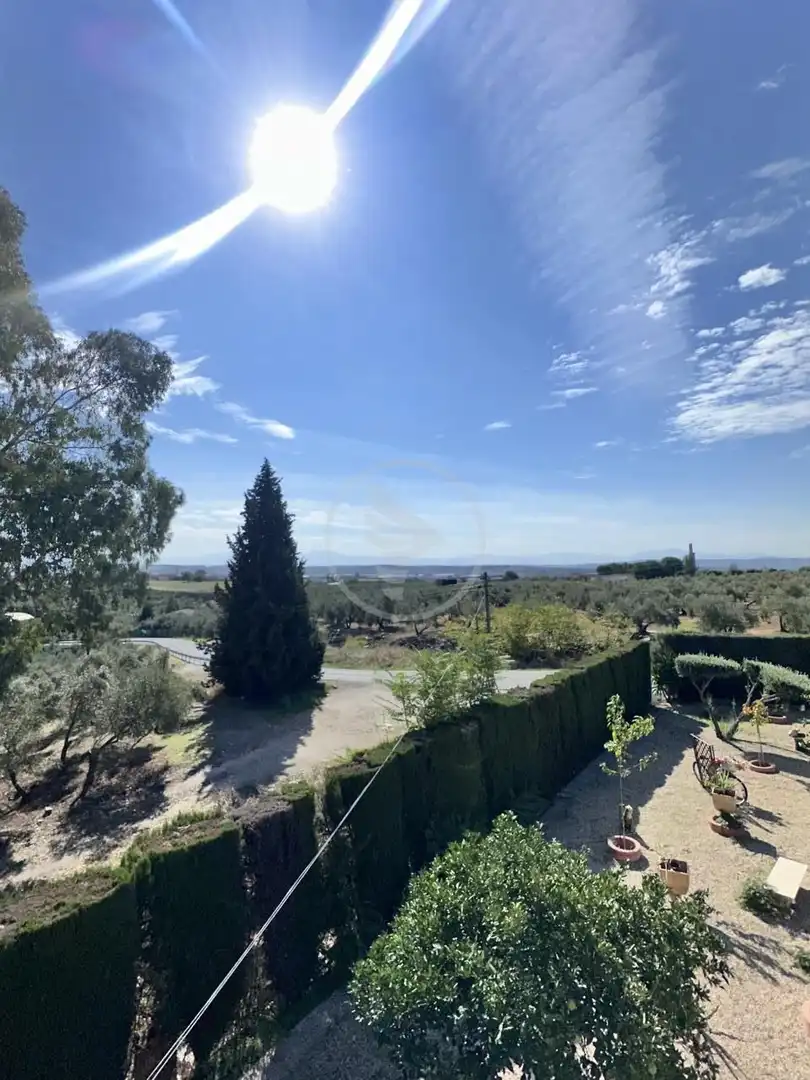 Finca rústica en venda en Linares amb Jardí privat, Terrassa i Piscina