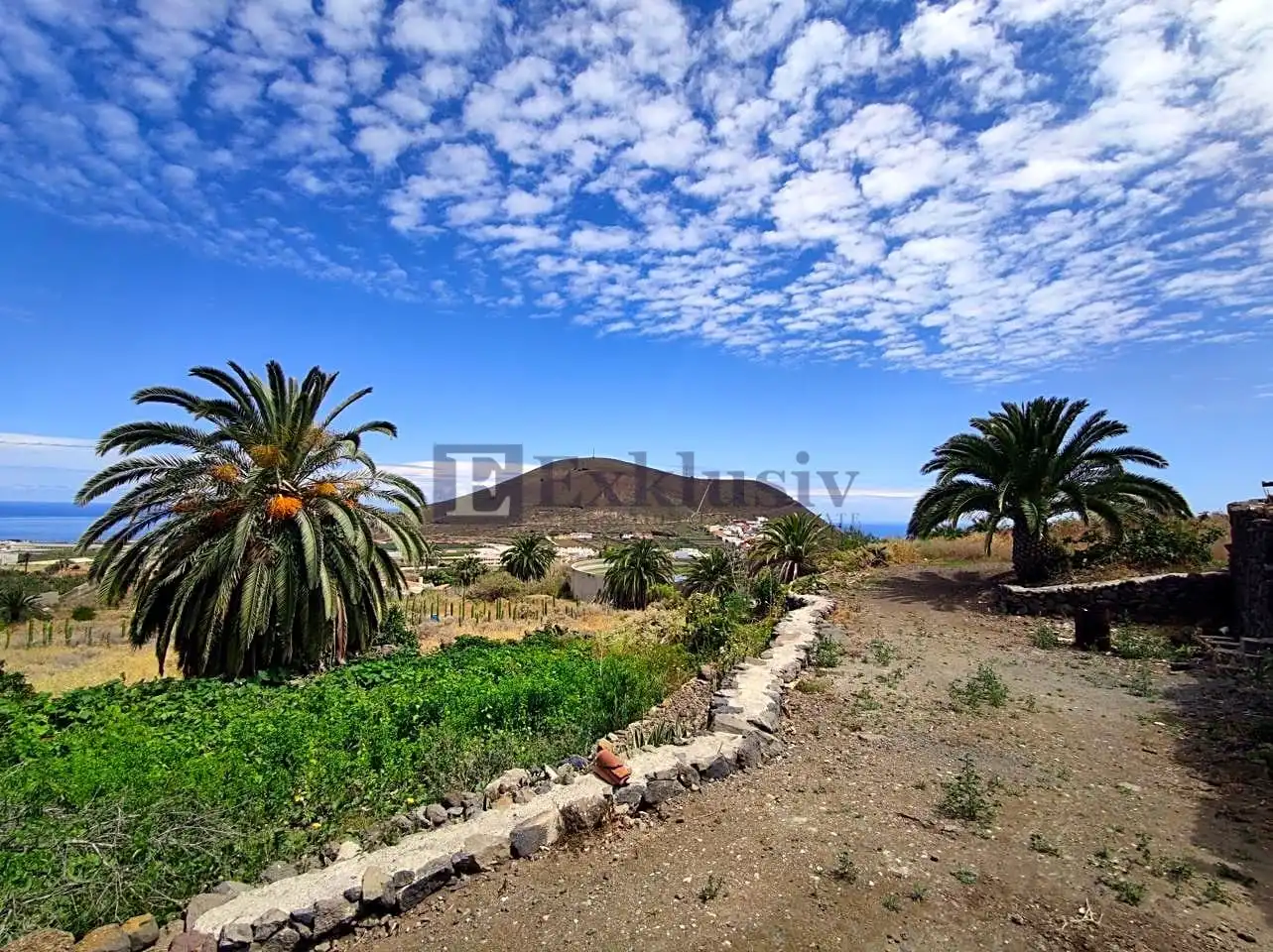 Country homes for sale in Buenavista del Norte