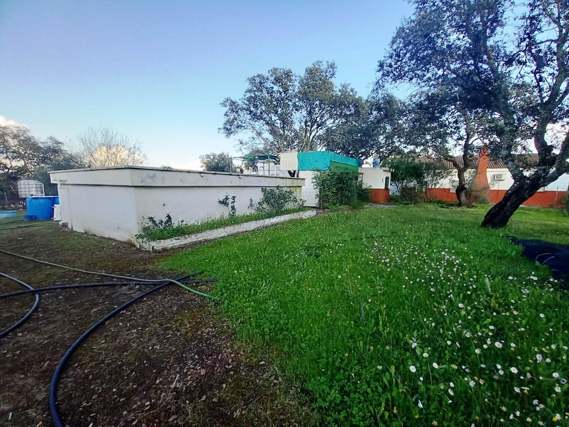 House or chalet for sale in Castilblanco de los Arroyos