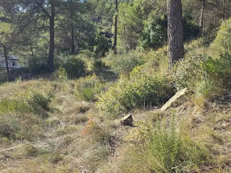 Wohnbaugrundstück zum Verkauf in calle l'anoia 3, imagen 2