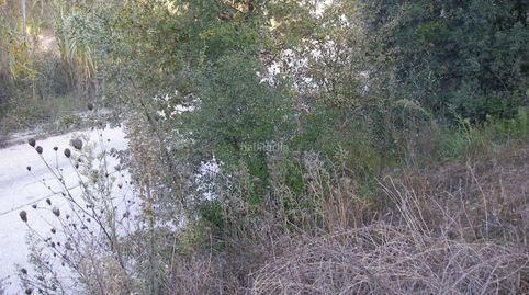 Tres terrenos unidos en la misma isleta, immagine 2