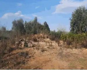 Terreny rústic en venda a El Genovés, imagen 2