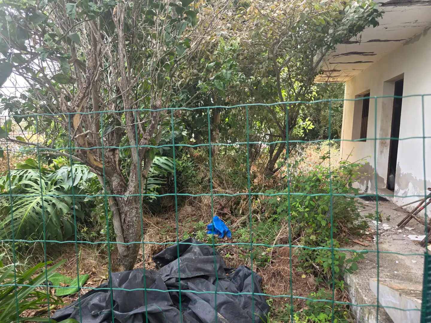 Gewerbefläche zum Verkauf in Tacoronte - Los Naranjeros, imagen 49