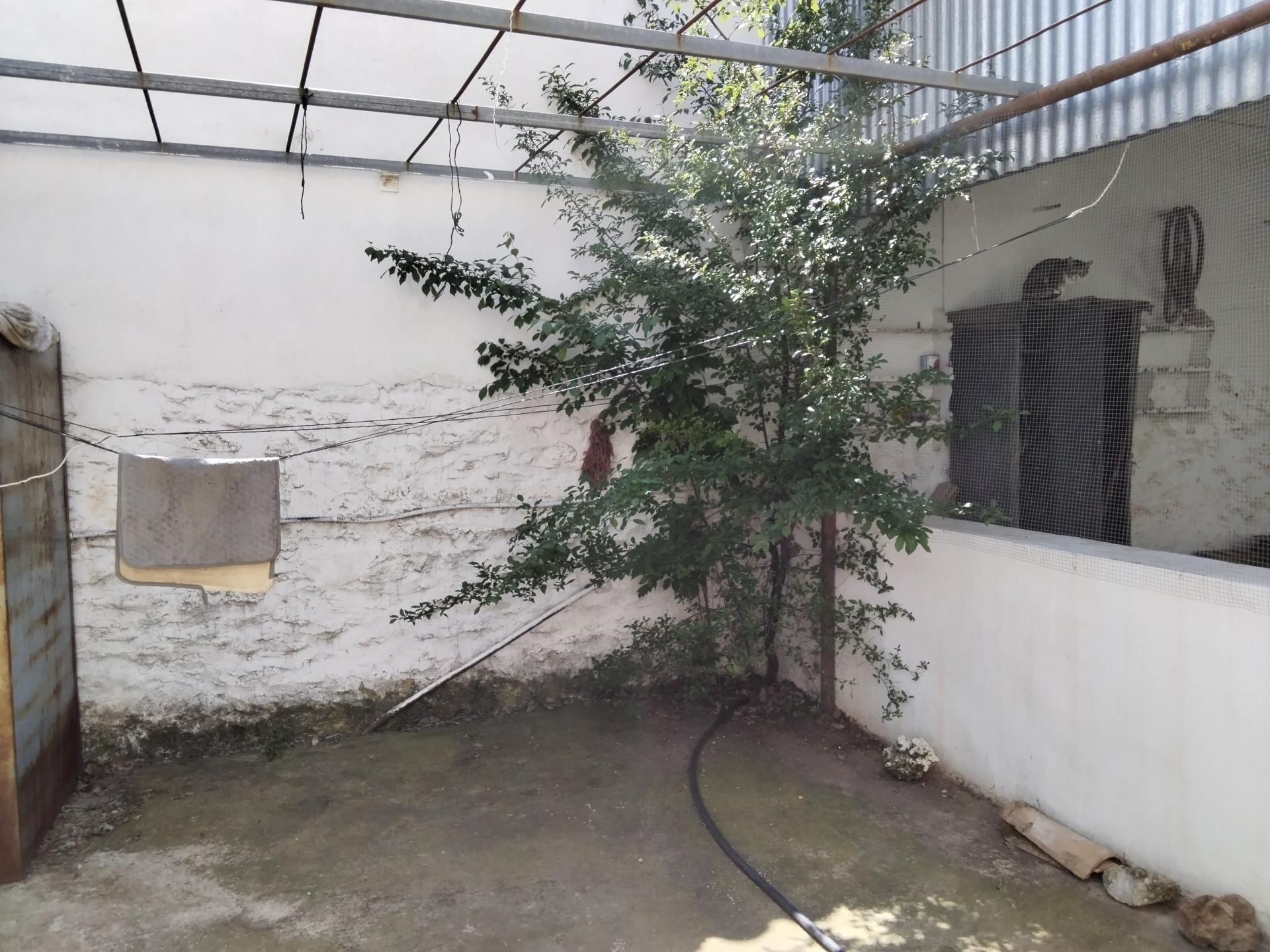 Jardí de Casa o xalet en venda en Alcázar de San Juan amb Calefacció i Terrassa