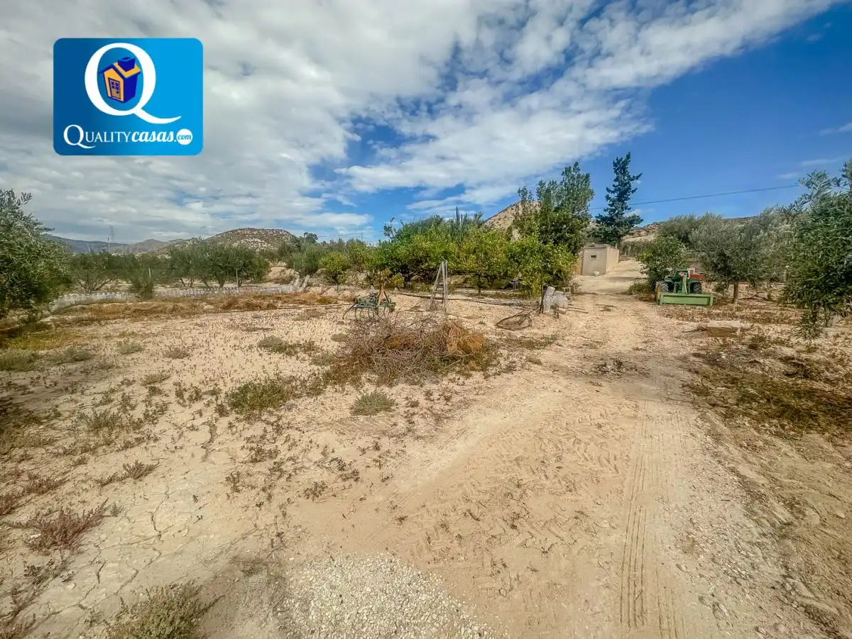 Lands and plots for sale in Partidas de Alicante, imagen 8