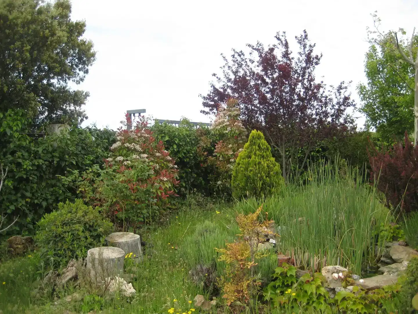 Jardín de Terreno en venta en Calvarrasa de Arriba, Salamanca