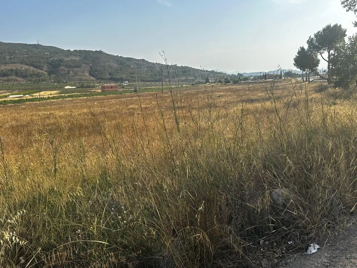 Terreno residencial en venta en El Pinós / Pinoso, imagen 4