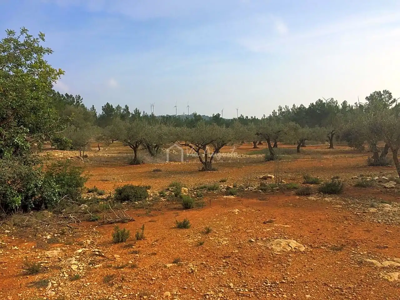 Terreno rustico in vendita a Burga, imagen 10