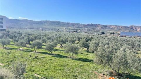 Photo 2 of Residential for sale in Doctor Diego Aragón, Fuentemora, Málaga