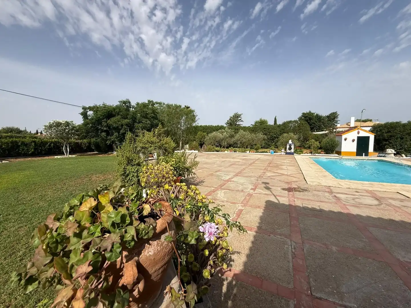 Jardín de Casa o chalet en venta en Carmona con Jardín privado, Terraza y Piscina