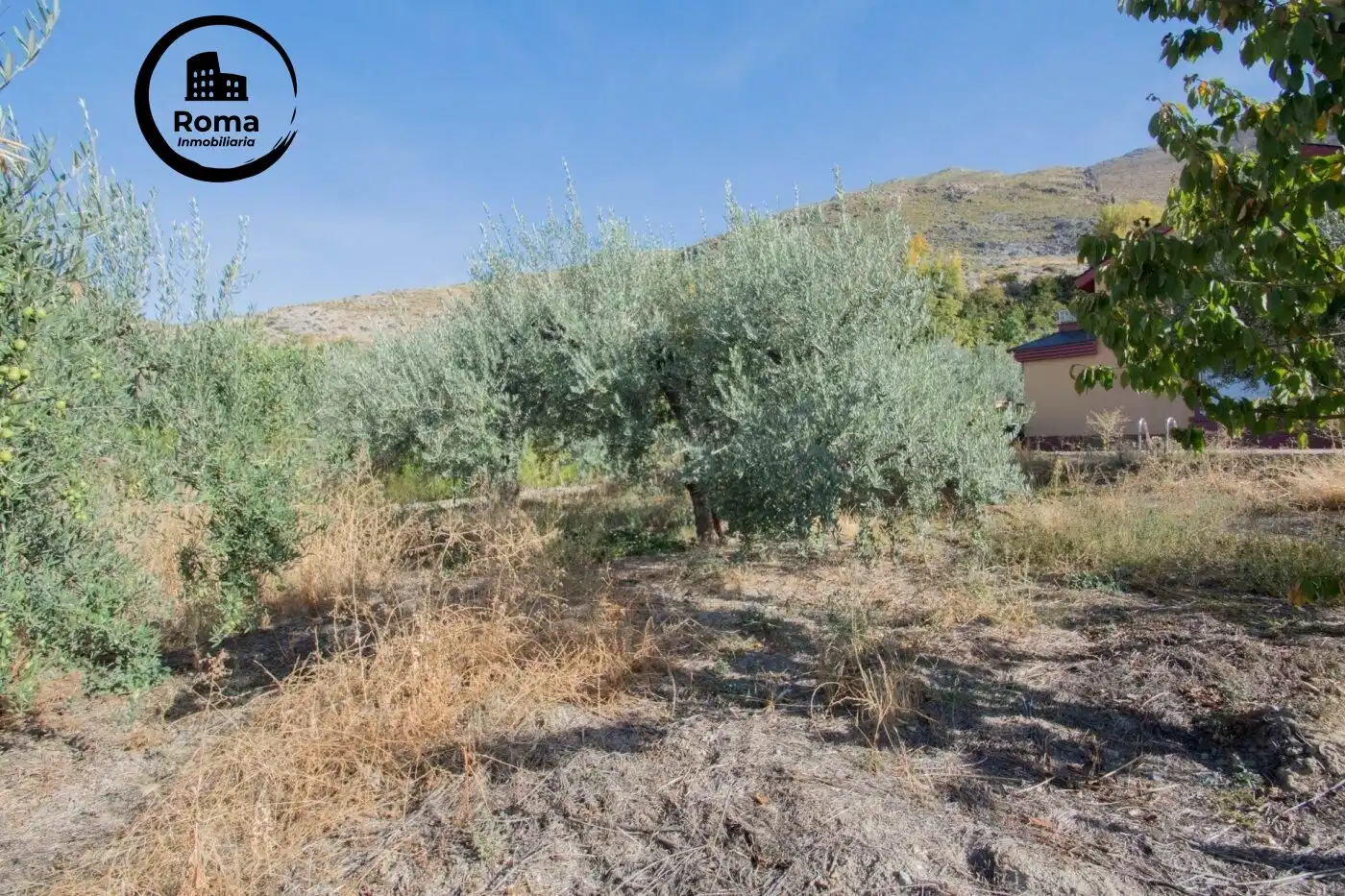 Villa con terrazza in vendita a Calle Fuente 16 Caños, imagen 56