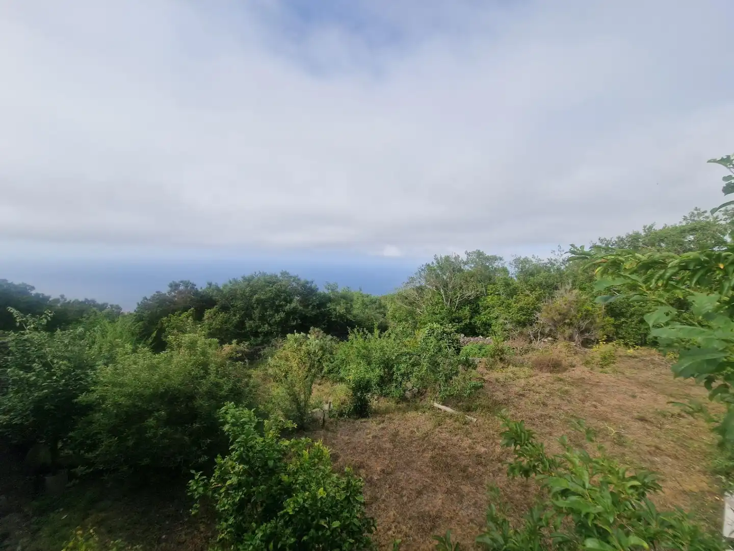 Finca rústica en venta en Icod de los Vinos con Terraza, Trastero y Amueblado