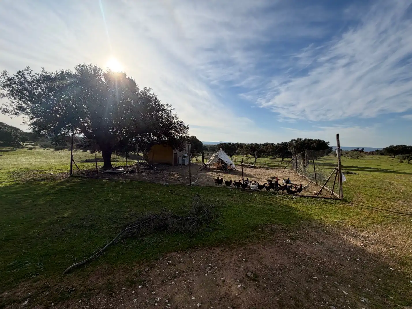 Land for sale in Serradilla