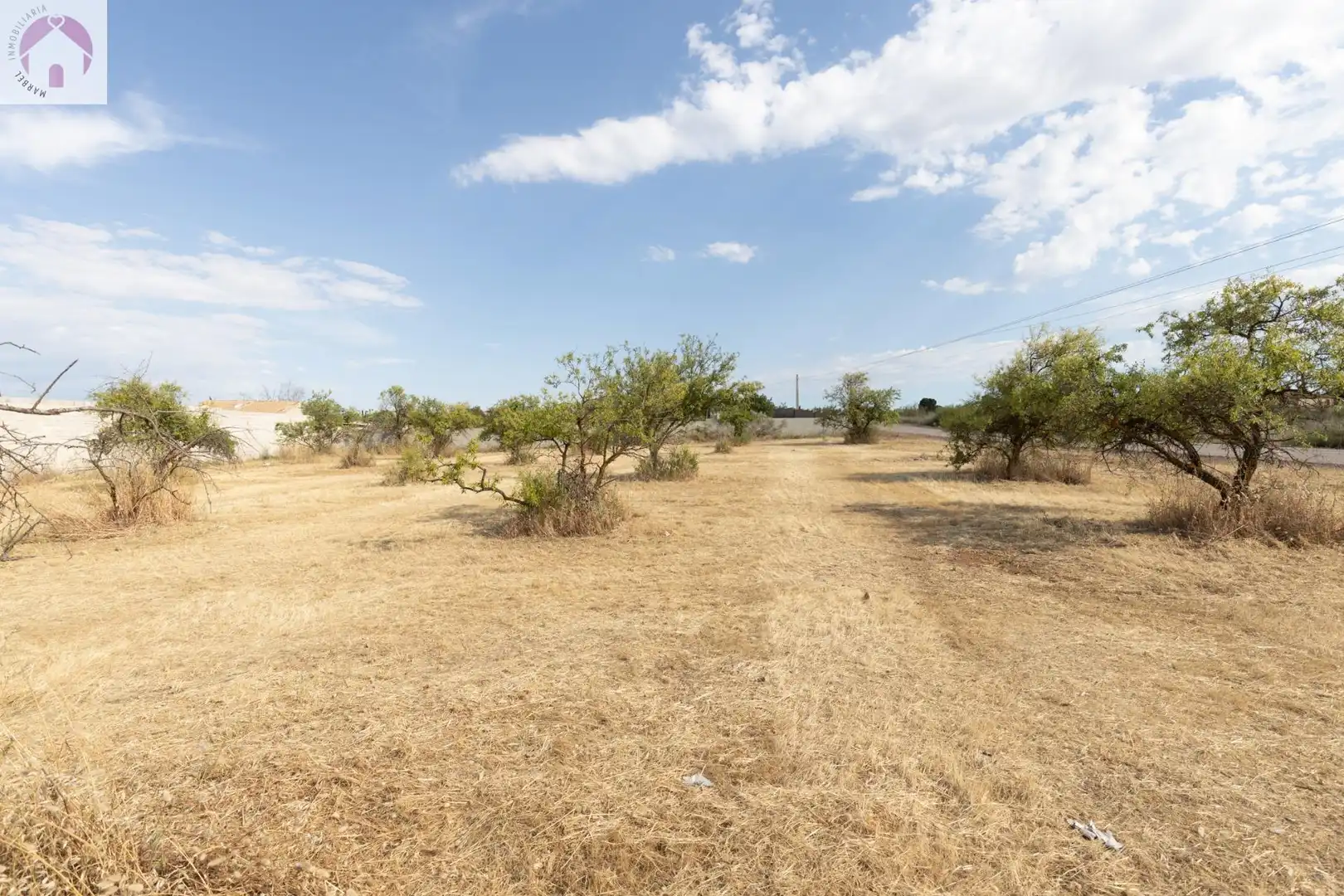 Rural land for sale in Moraleda de Zafayona, imagen 12