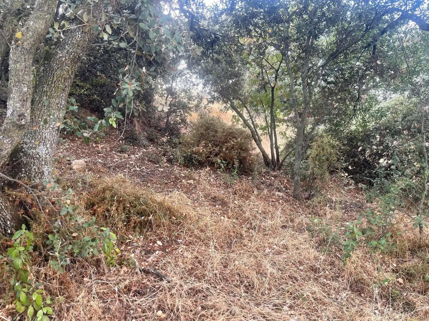 Terreno residenziale in vendita a El Casar, imagen 12