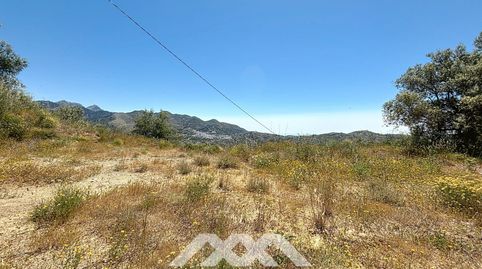 Se vende Parcela rústica con mucho potencial  Canillas de Albaida, imatge 2