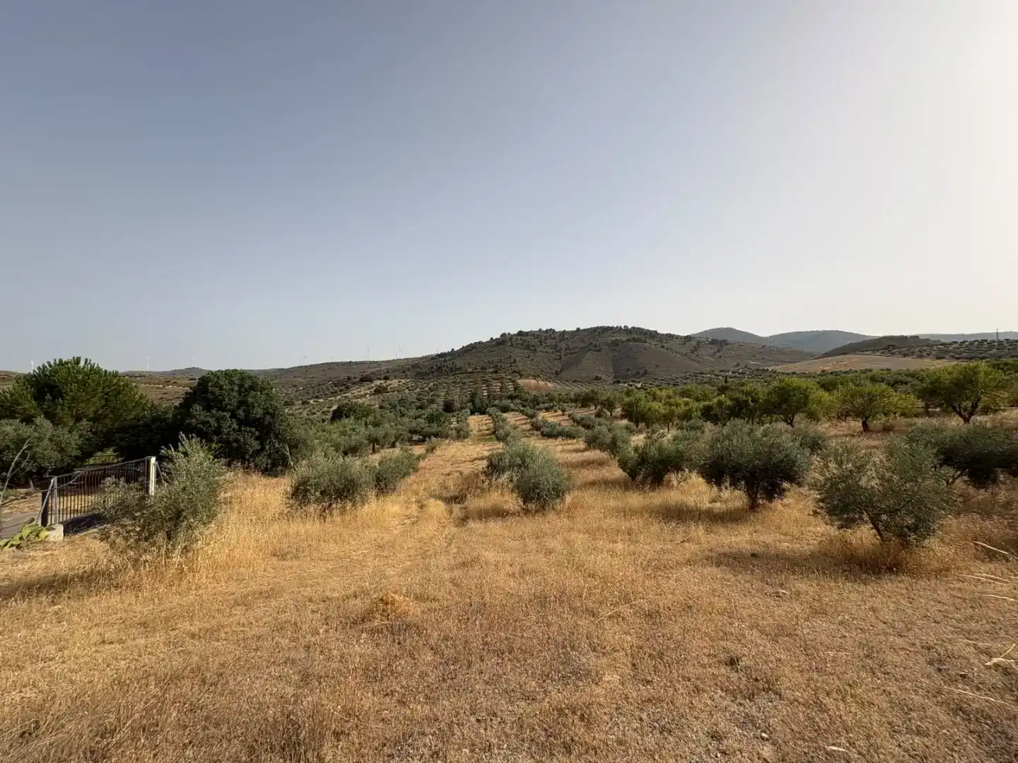 Pis en venda en Padul amb Jardí privat