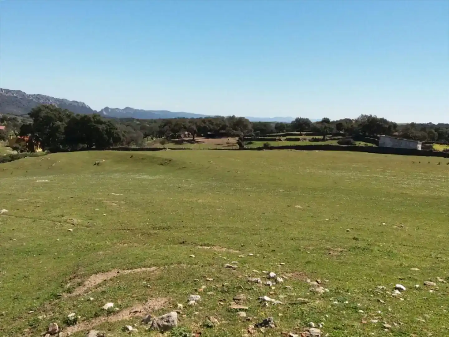 Terreno en venta en Serradilla