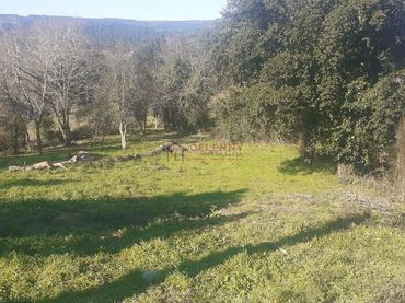 Terreno residenziale in vendita a San Cibrao das Viñas