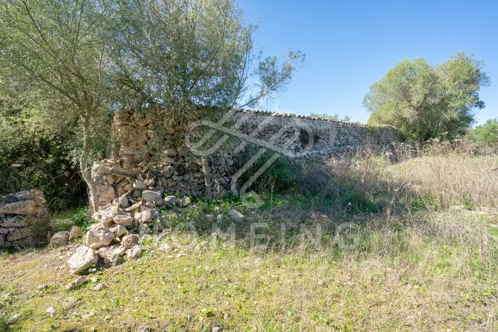 Country house with garden for sale in Costitx, imagen 24