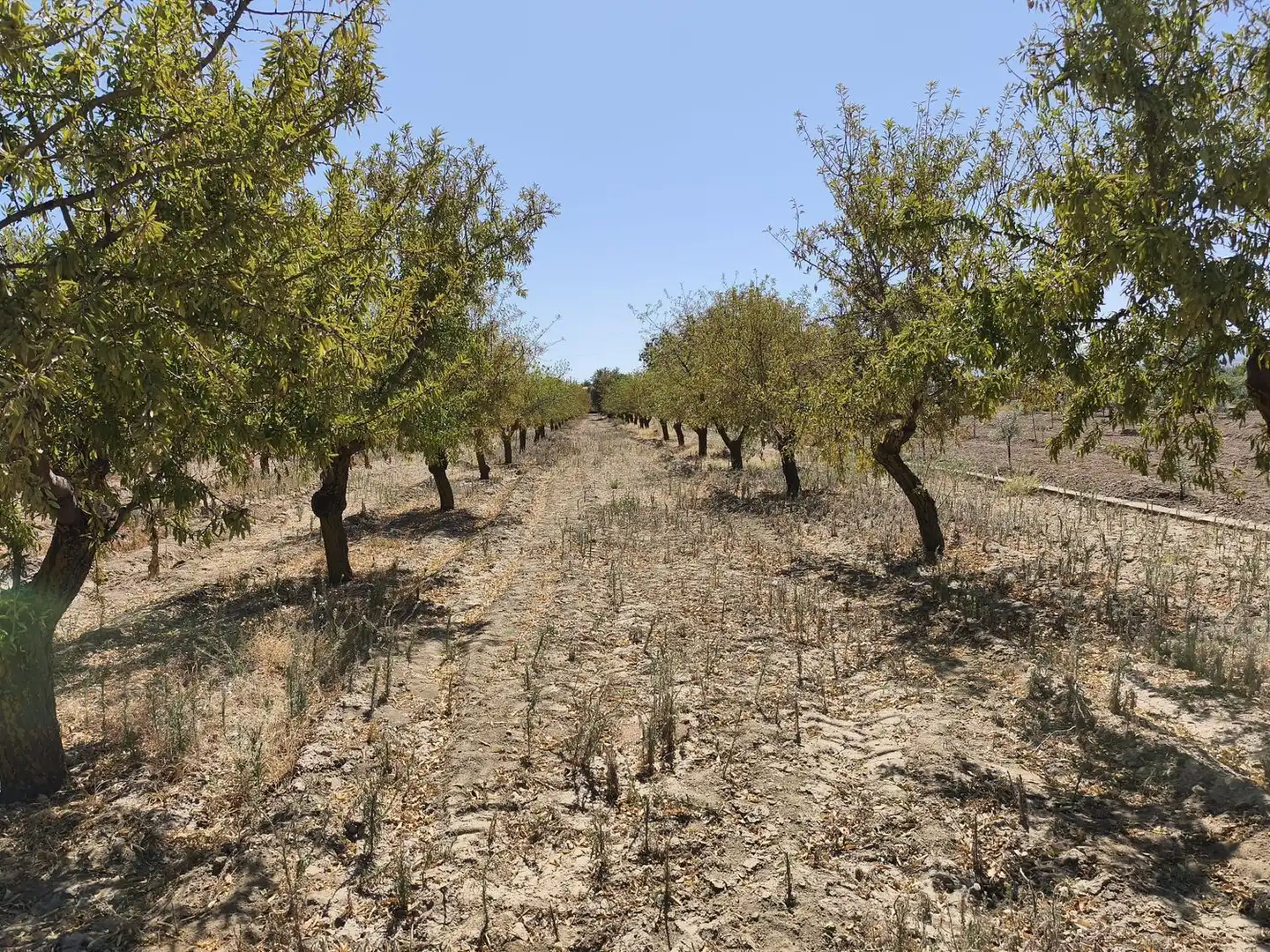 Rural land for sale in 2C55+9GC Cozvijar 0, imagen 18