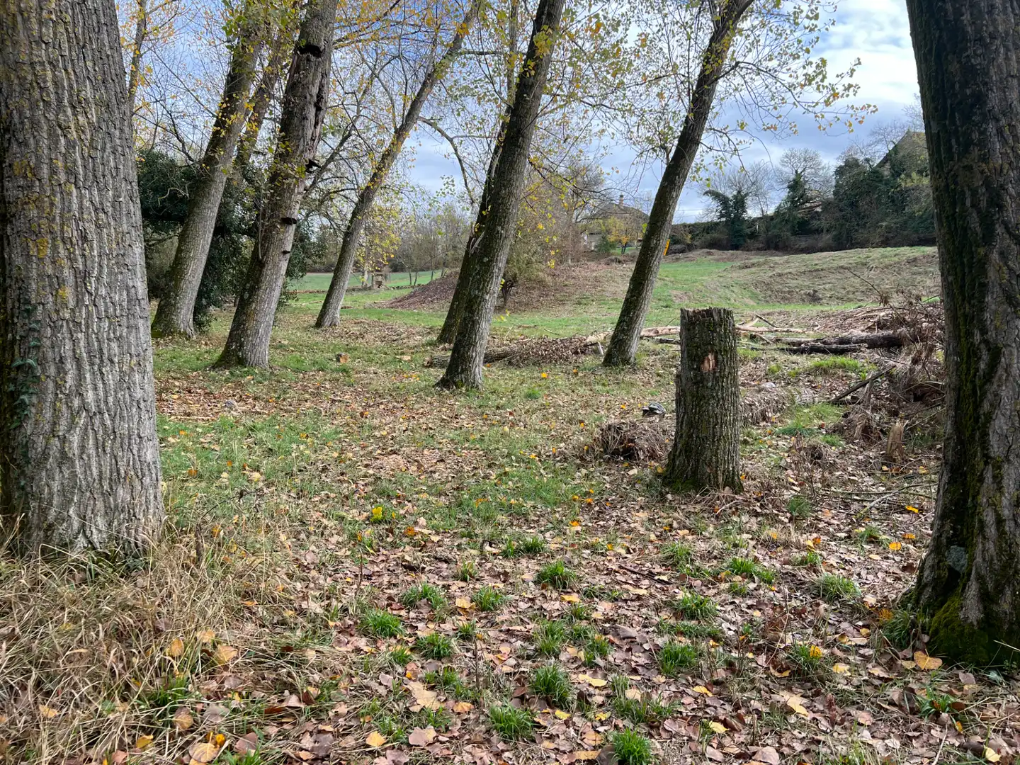 Terreni e lotti in vendita a Poblaciones norte, imagen 15