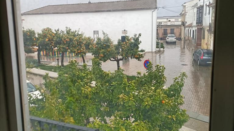 Foto 2 de Casa o xalet en venda a Plaza de Munda, Montilla, Córdoba