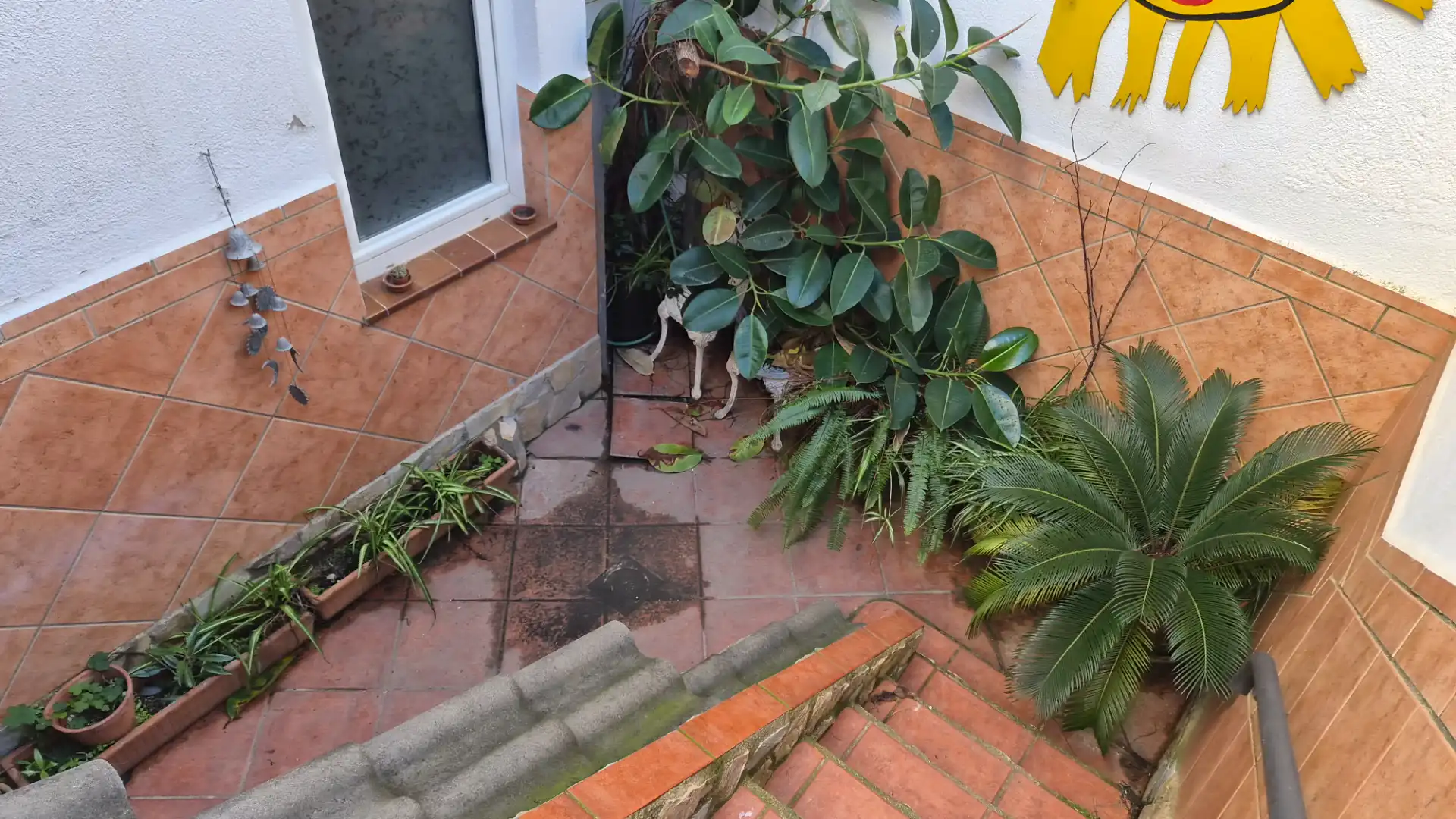 Houses for sale in Calella