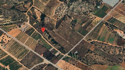 Venta de Finca Rústica en Benijou -Pol.9 Nº 55 Torreblanca (Castellón/Castelló)