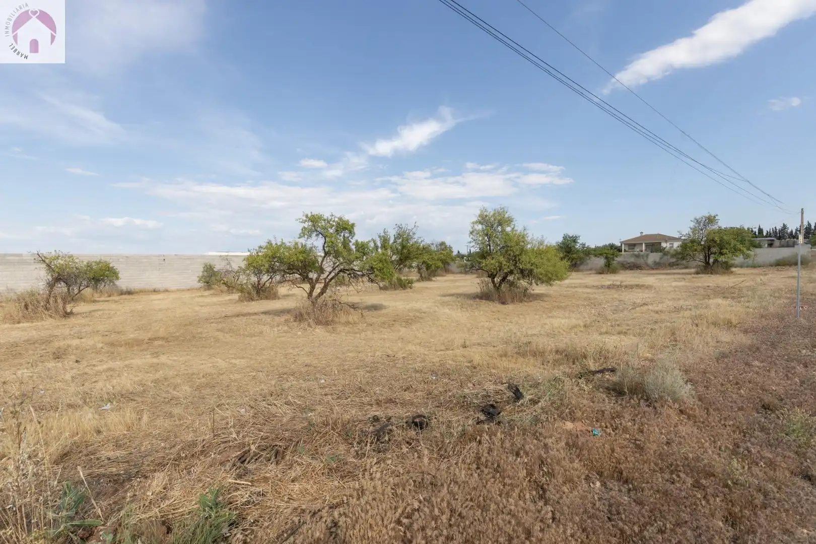 Rural land for sale in Moraleda de Zafayona, imagen 11