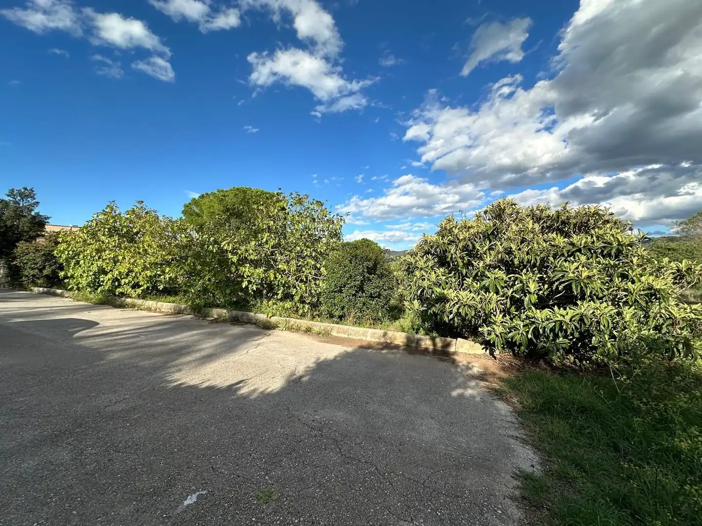 Exterior view of Residential for sale in La Pobla de Claramunt