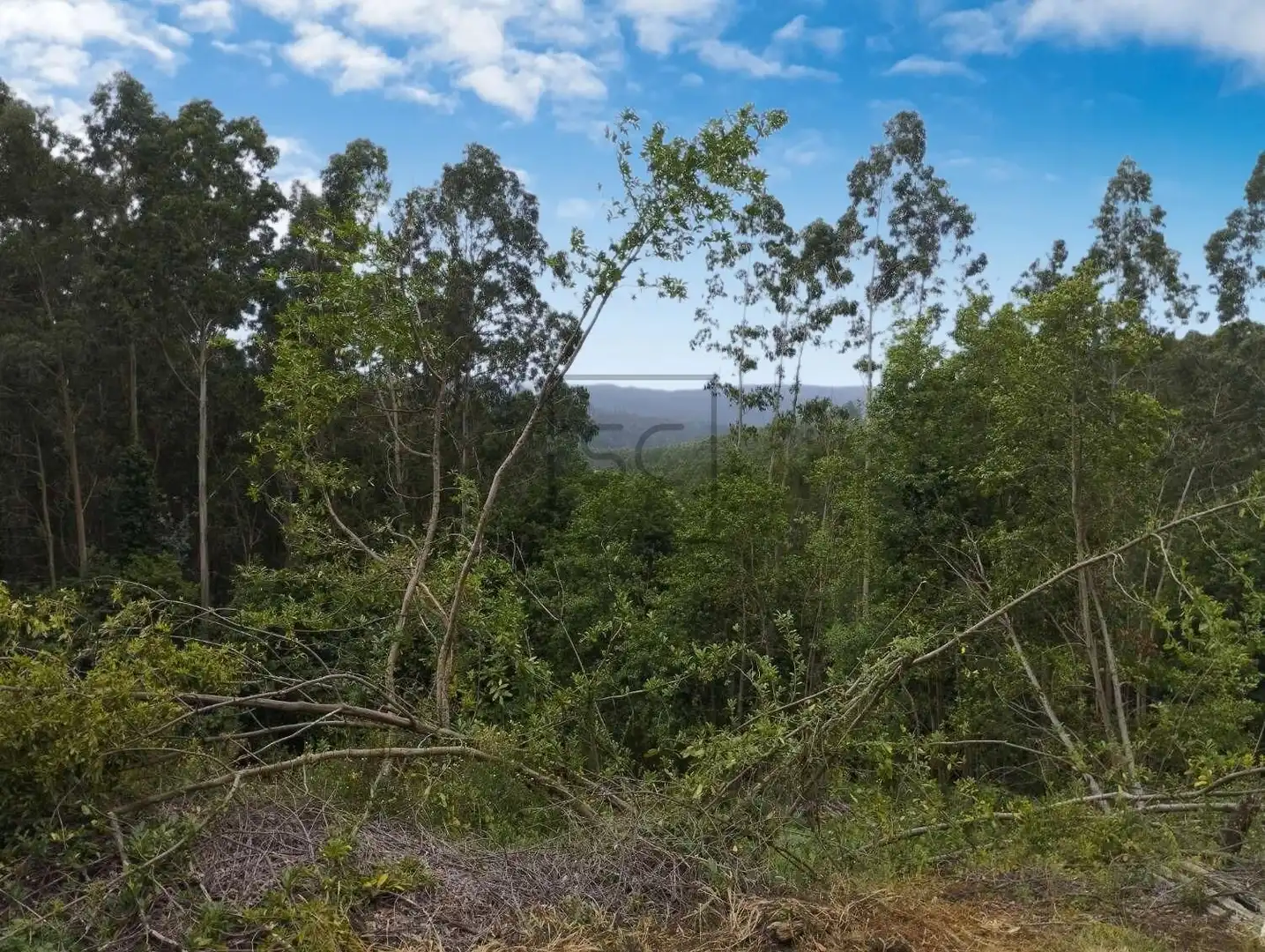 Casa o xalet en venda en Cerdido amb Jardí privat