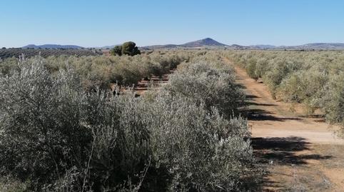 Photo 4 of Land for sale in N/a, -1, Los Remedios, Sevilla