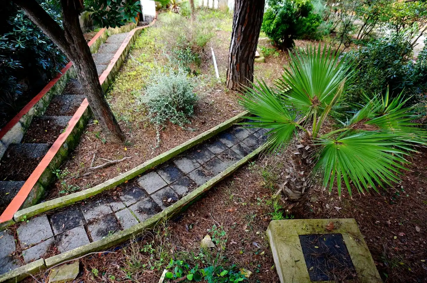 Maison avec jardin à vendre à Mas Mora - Sant Daniel, imagen 30